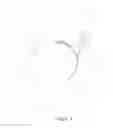 Fig. 08 - Dog feces collecting device and method of use thereof