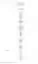 Fig. 06 - High frequency ultrasonic transducer and matching layer comprising cyanoacrylate