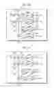 Fig. 06 - RADIO FREQUENCY POWER AMPLIFIER