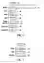 Fig. 05 - Deterministic method for efficiently querying and identifying multiple items on a communication channel