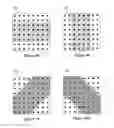 Fig. 09 - Resolution enhancement of video stream based on spatial and temporal correlation