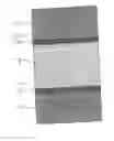 Fig. 01 - Cells for biochemical analysis, kit for biochemical analysis, and biochemical analyzer