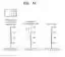 Fig. 10 - Zoom lens and image capturing apparatus having the same