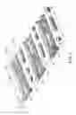 Fig. 02 - High-Density Optical Storage Structure