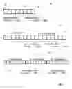Fig. 07 - Congestion-adaptive compression