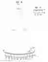 Fig. 08 - Transportation container inspection system and method