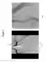 Fig. 08 - System for medical image processing, manipulation and display