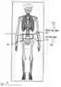 Fig. 01 - Methods and apparatus for measuring body circumference