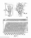 Fig. 04 - System and method for performing bone densitometer measurements