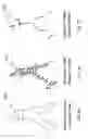 Fig. 04 - Method and system for fast three-dimensional imaging using defocusing and feature recognition