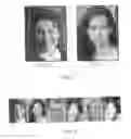 Fig. 07 - Image classification and information retrieval over wireless digital networks and the internet