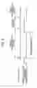Fig. 07 - Image forming apparatus and image forming method