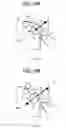 Fig. 10 - Conveyer and image forming apparatus including the same