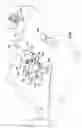 Fig. 02 - Method of deactivating contaminants in a region using a mobile deactivation apparatus