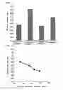 Fig. 08 - Method for radiation sterilization of hydrophilic polymer-coated medical device