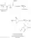 Fig. 13 - Dual phase drug release system