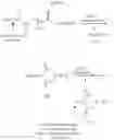 Fig. 16 - Dual phase drug release system