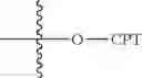 Fig. 60 - Dual phase drug release system