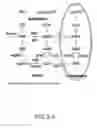 Fig. 09 - Compounds and methods of making compounds