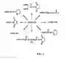 Fig. 02 - POLYMER COATED SERS NANOTAG