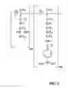 Fig. 03 - COMPOSITIONS AND METHODS FOR INHIBITING VIRAL AND BACTERIAL ACTIVITY