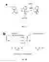 Fig. 04 - COMPOSITIONS AND METHODS FOR INHIBITING VIRAL AND BACTERIAL ACTIVITY