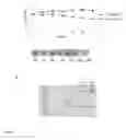 Fig. 07 - Thuricin CD, an antimicrobial for specifically targeting 