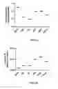 Fig. 02 - Antibodies that bind PAR-2