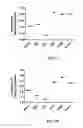 Fig. 03 - Antibodies that bind PAR-2