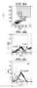 Fig. 19 - Polypeptides involved in immune response