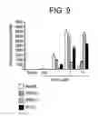 Fig. 20 - Polypeptides involved in immune response