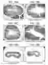 Fig. 37 - Polypeptides involved in immune response