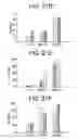 Fig. 40 - Polypeptides involved in immune response