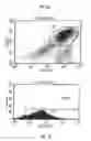 Fig. 08 - USE OF CD28-SPECIFIC MONOCLONAL ANTIBODIES FOR PRODUCING A PHARMACEUTICAL COMPOSITION FOR TREATING VIRUS INFECTIONS