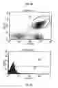 Fig. 09 - USE OF CD28-SPECIFIC MONOCLONAL ANTIBODIES FOR PRODUCING A PHARMACEUTICAL COMPOSITION FOR TREATING VIRUS INFECTIONS