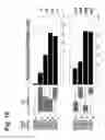 Fig. 22 - ESPFU NUCLEIC ACIDS AND PROTEINS AND USES THEREOF