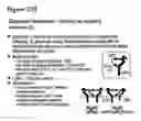 Fig. 43 - Amino acid sequences directed against HER2 and polypeptides comprising the same for the treatment of cancers and/or tumors