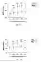 Fig. 02 - Therapeutic Method Targeting Midkine