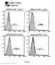 Fig. 09 - COMPOSITIONS AND METHODS FOR THE PREVENTION AND TREATMENT OF AUTOIMMUNE CONDITIONS