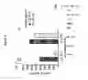 Fig. 04 - Ex vivo method for producing a preparation containing CD4+ T cells specific for EBV structural antigens