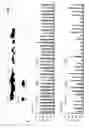 Fig. 08 - Ex vivo method for producing a preparation containing CD4+ T cells specific for EBV structural antigens