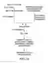 Fig. 20 - Targeted delivery using tissue-specific peptidomimetic ligands