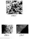 Fig. 03 - Adherends with enhanced surfaces