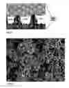 Fig. 02 - Method to prepare superhydrophobic surfaces on solid bodies by rapid expansion solutions