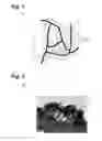 Fig. 02 - Nanostructured composite electrode