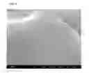 Fig. 04 - Nonaqueous electrolyte secondary battery and method for manufacturing nonaqueous electrolyte secondary battery