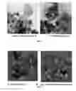 Fig. 06 - Catalyst for hydrogen generation from small organic molecules
