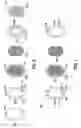Fig. 06 - Method for controlling perfusion of an organ