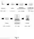 Fig. 06 - Method for the detection and characterization of microorganisms on a filter