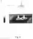 Fig. 07 - Method for the detection and characterization of microorganisms on a filter